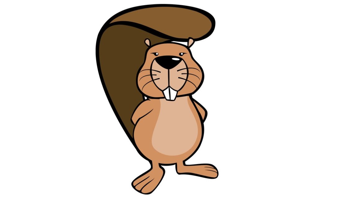 Informatik-Biber: Die Sieger